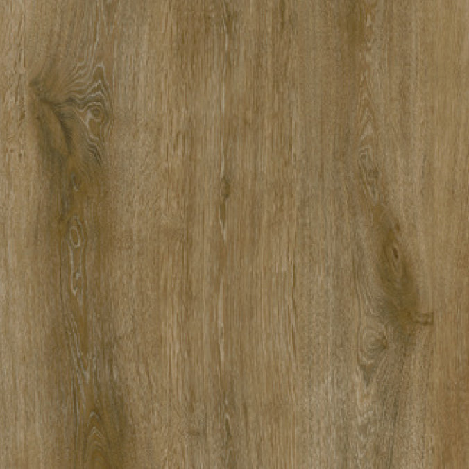 Phenix - Tempo - Motion