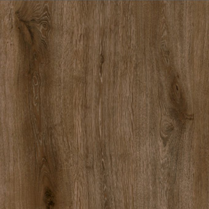 Phenix - Tempo - Melody