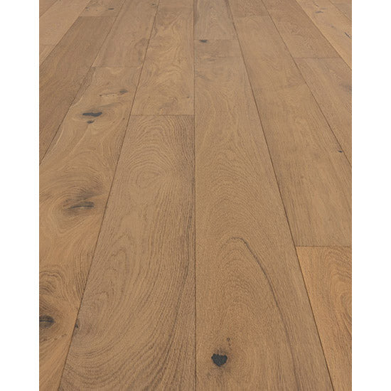 Provenza Floors - Affinity Collection - Celebration