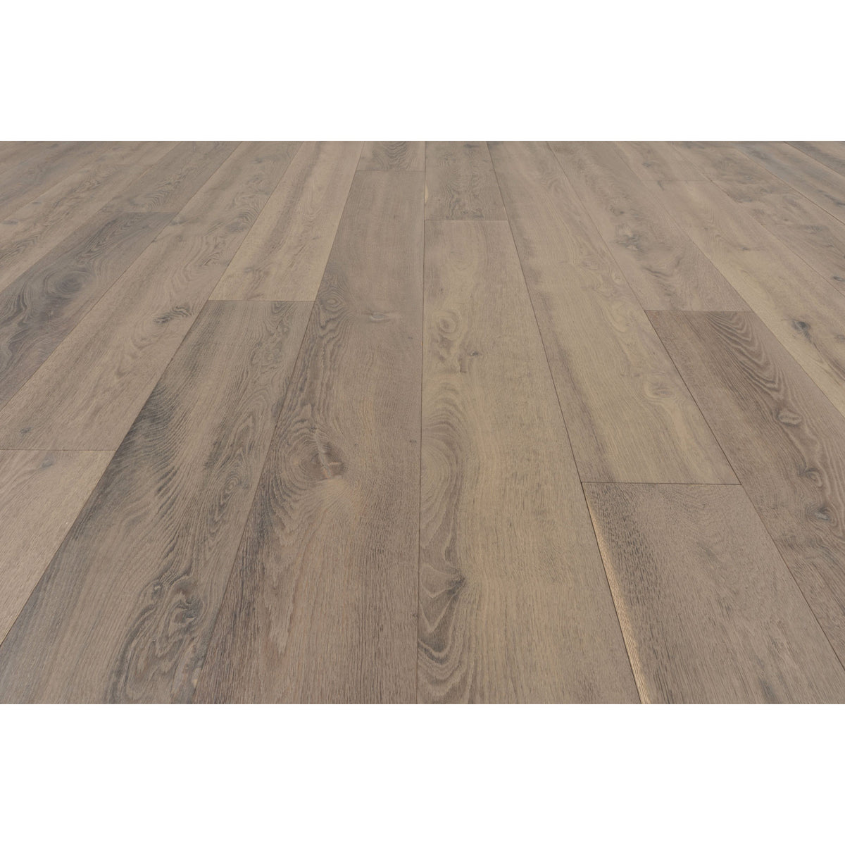 Provenza Floors - Palais Royale Engineered Wood - Amiens Installed