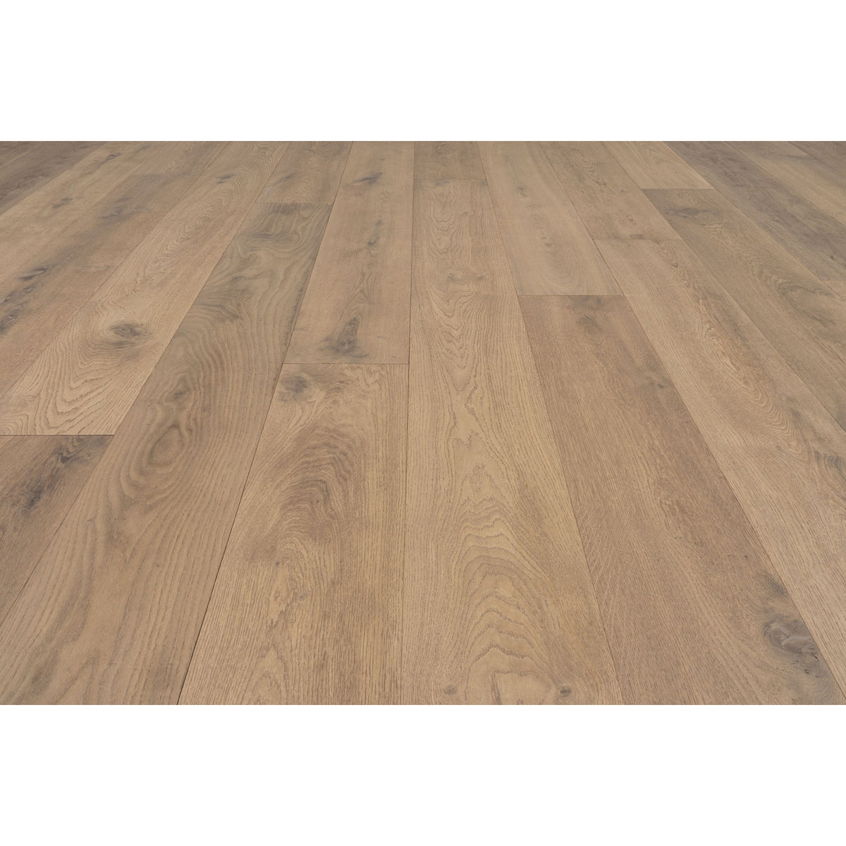 Provenza Floors - Palais Royale Engineered Wood - Biarritz Installed