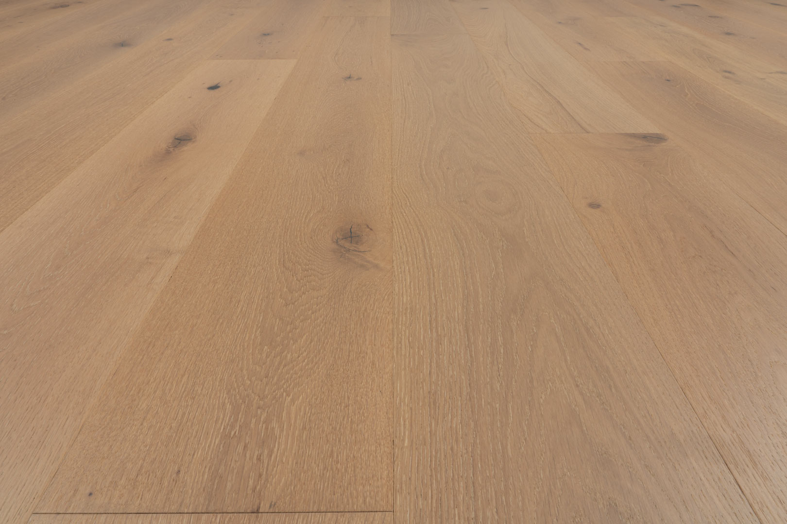 Provenza - Tresor Engineered Wood - Rondo