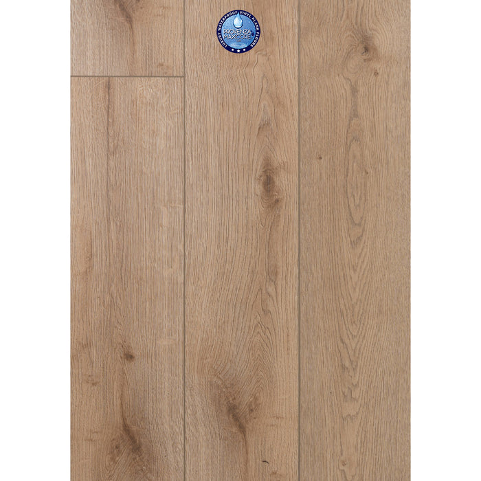 Provenza Floors - Concorde Oak Luxury Vinyl Plank - Loyal Friend