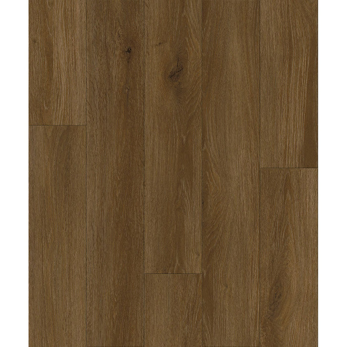Provident - Urban Collection - 7 in. x 48 in. - Ironbark