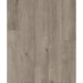 Provident - Urban Collection - 7 in. x 48 in. - Natural Tint
