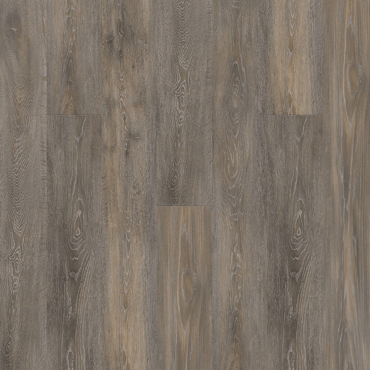 Engineered Floors - Timeless Beauty - 7 in. x 48 in. - Asbury