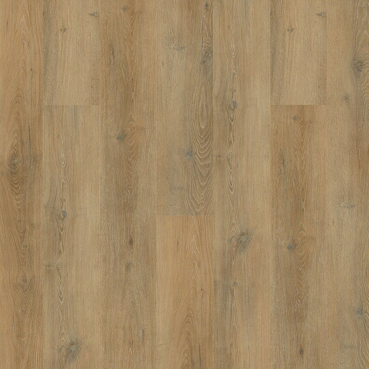 Engineered Floors - Triumph Collection - New Standard Plus - 7 in. x 48 in. - Easter Island