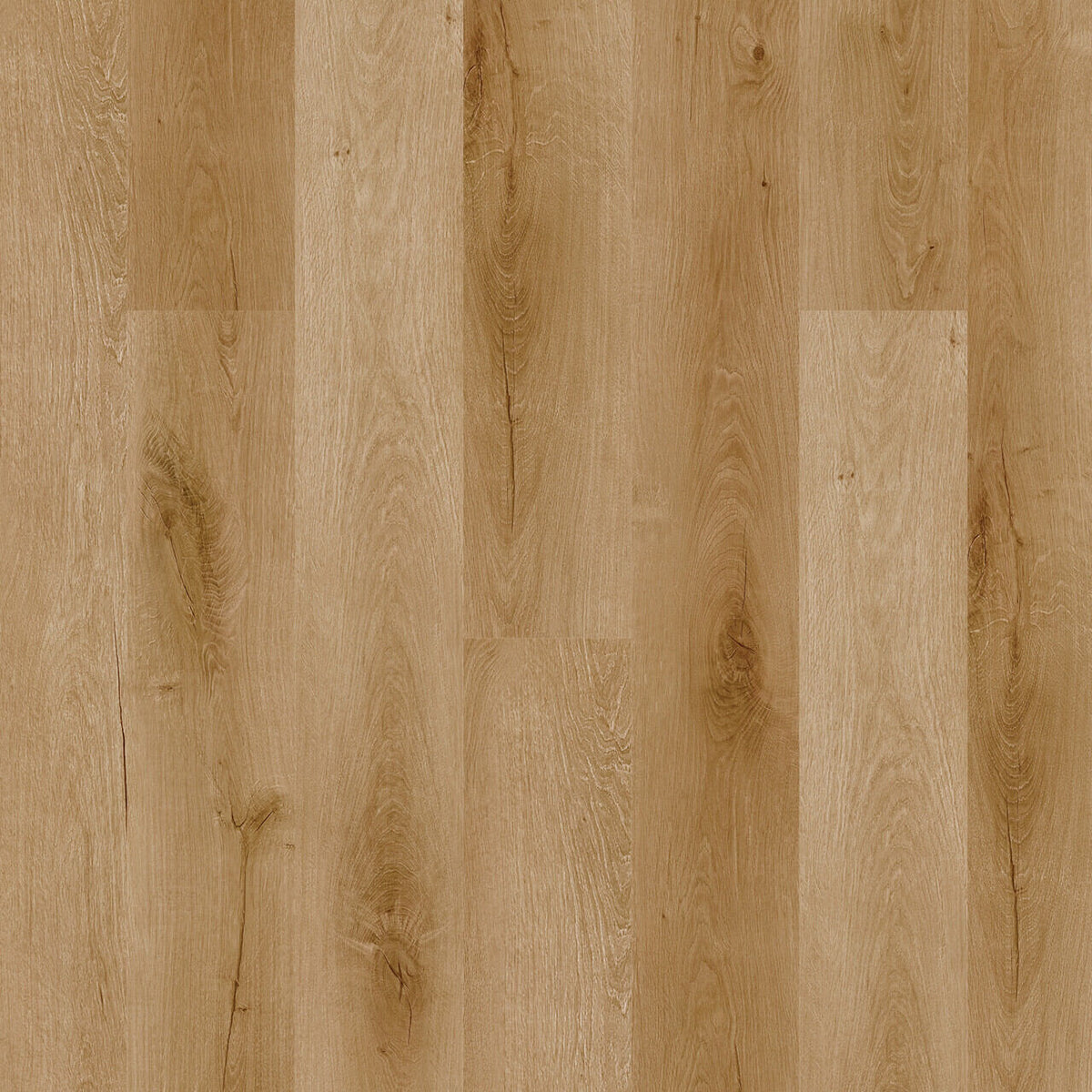 Engineered Floors - Triumph Collection - New Standard Plus - 7 in. x 48 in. - Cancun