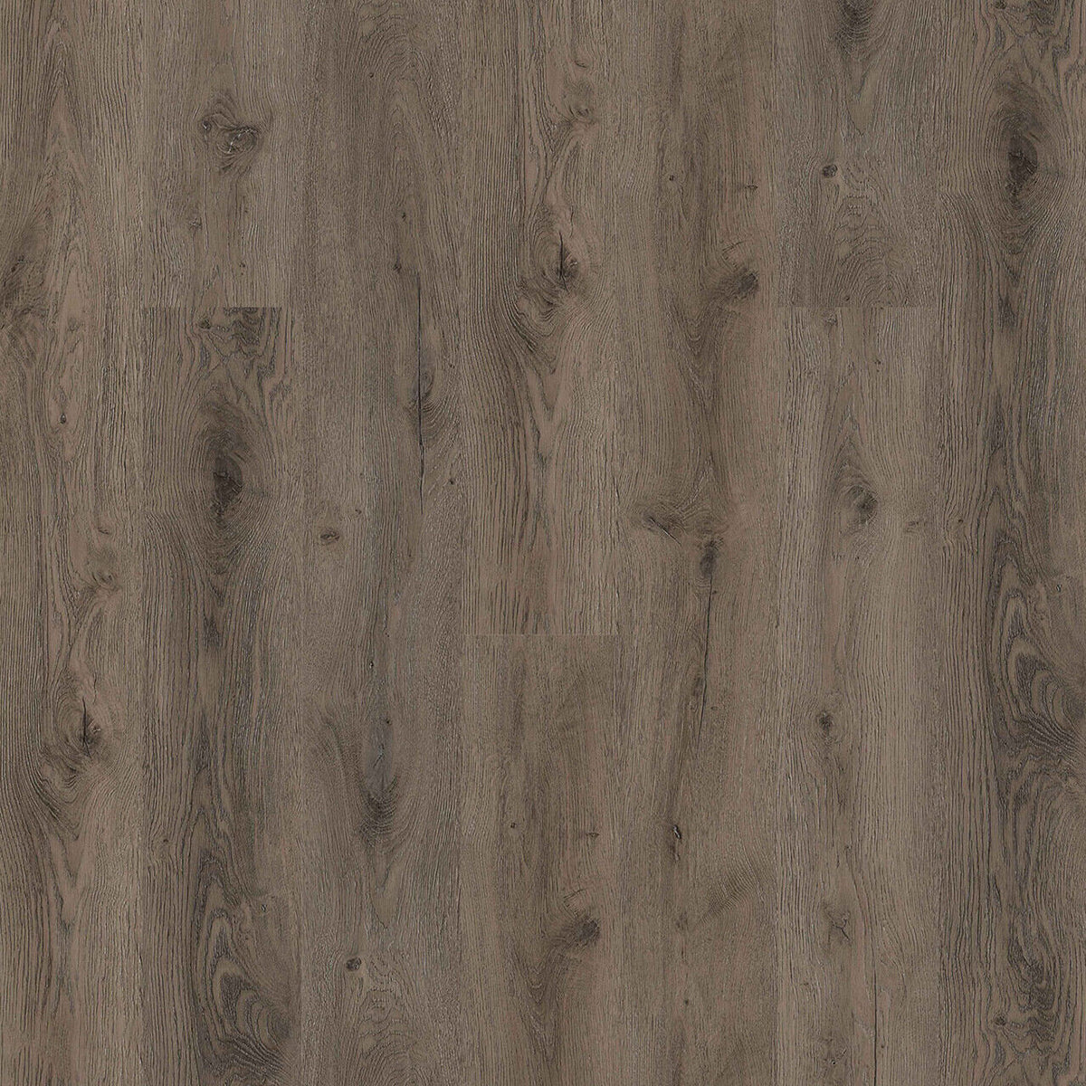 Engineered Floors - Triumph Collection - New Standard Plus - 7 in. x 48 in. - Secret Lagoon