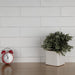 SomerTile - Chester 3" x 12" Subway Tile - Matte Bianco Close Install