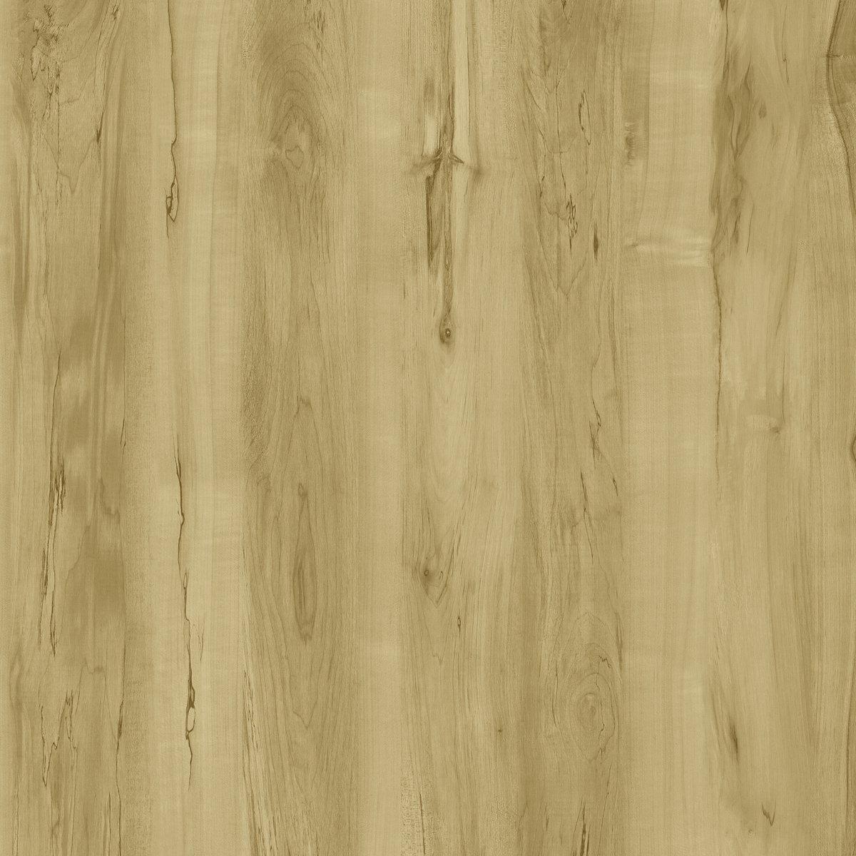 Resolve - 6.0 Series - 9