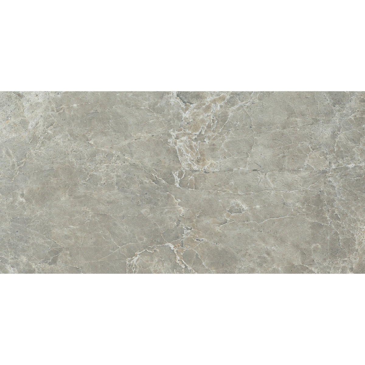 Tesoro - Hydra Series - 12 in. x 24 in. Matte Porcelain Tile - Grey