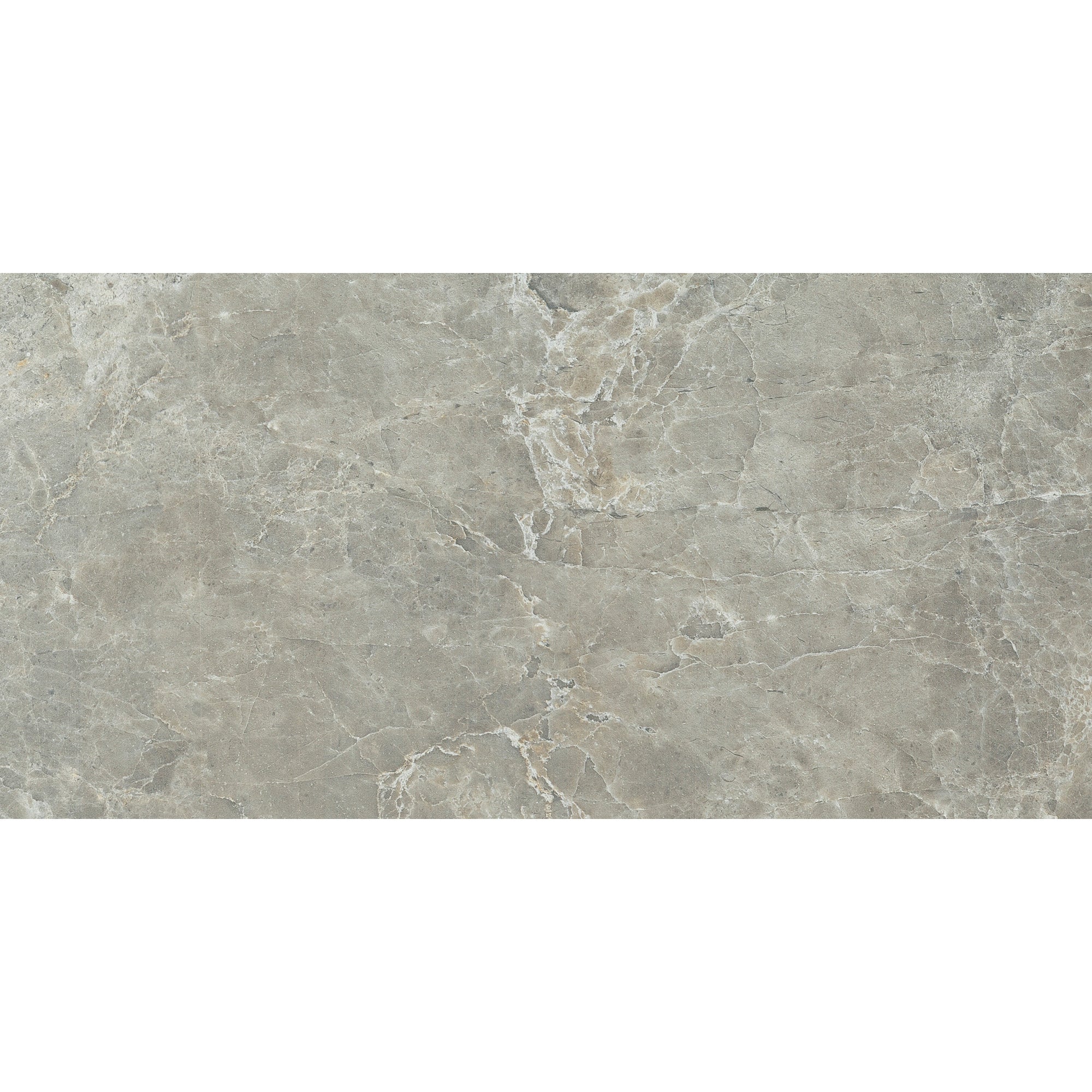 Tesoro - Hydra Series - 12 in. x 24 in. Matte Porcelain Tile - Grey