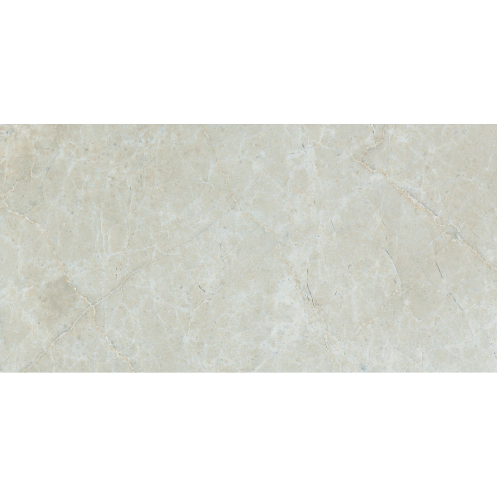 Tesoro - Hydra Series - 12 in. x 24 in. Matte Porcelain Tile - Silver