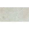 See Tesoro - Hydra Series - 12 in. x 24 in. Matte Porcelain Tile - Silver