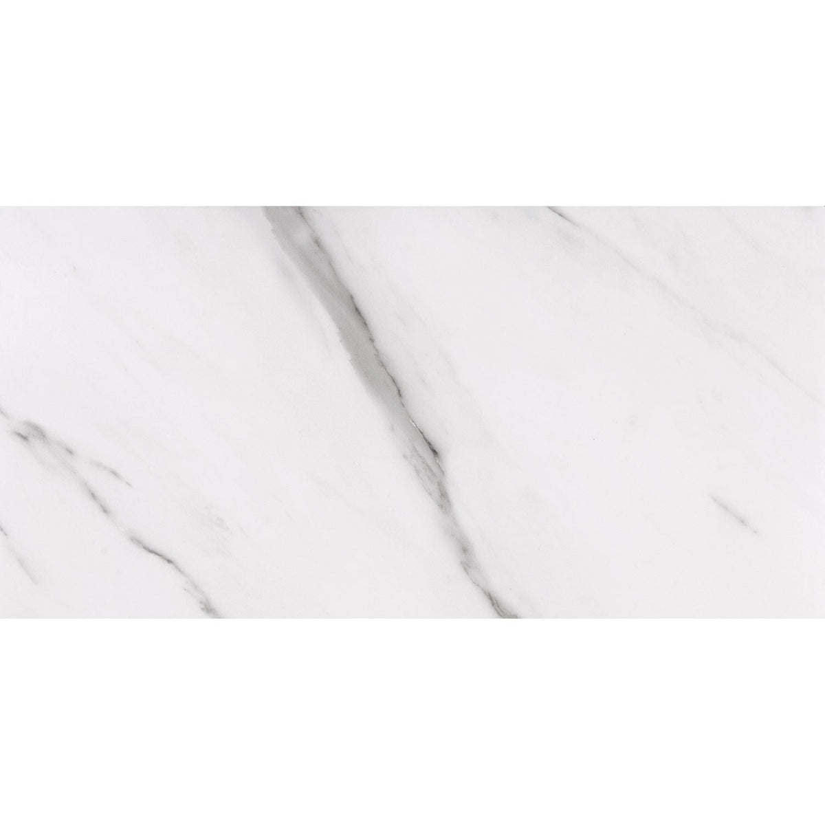 Tesoro - Nova - 12 in. x 24 in. Porcelain Tile - Bianco Carrara Polished 2