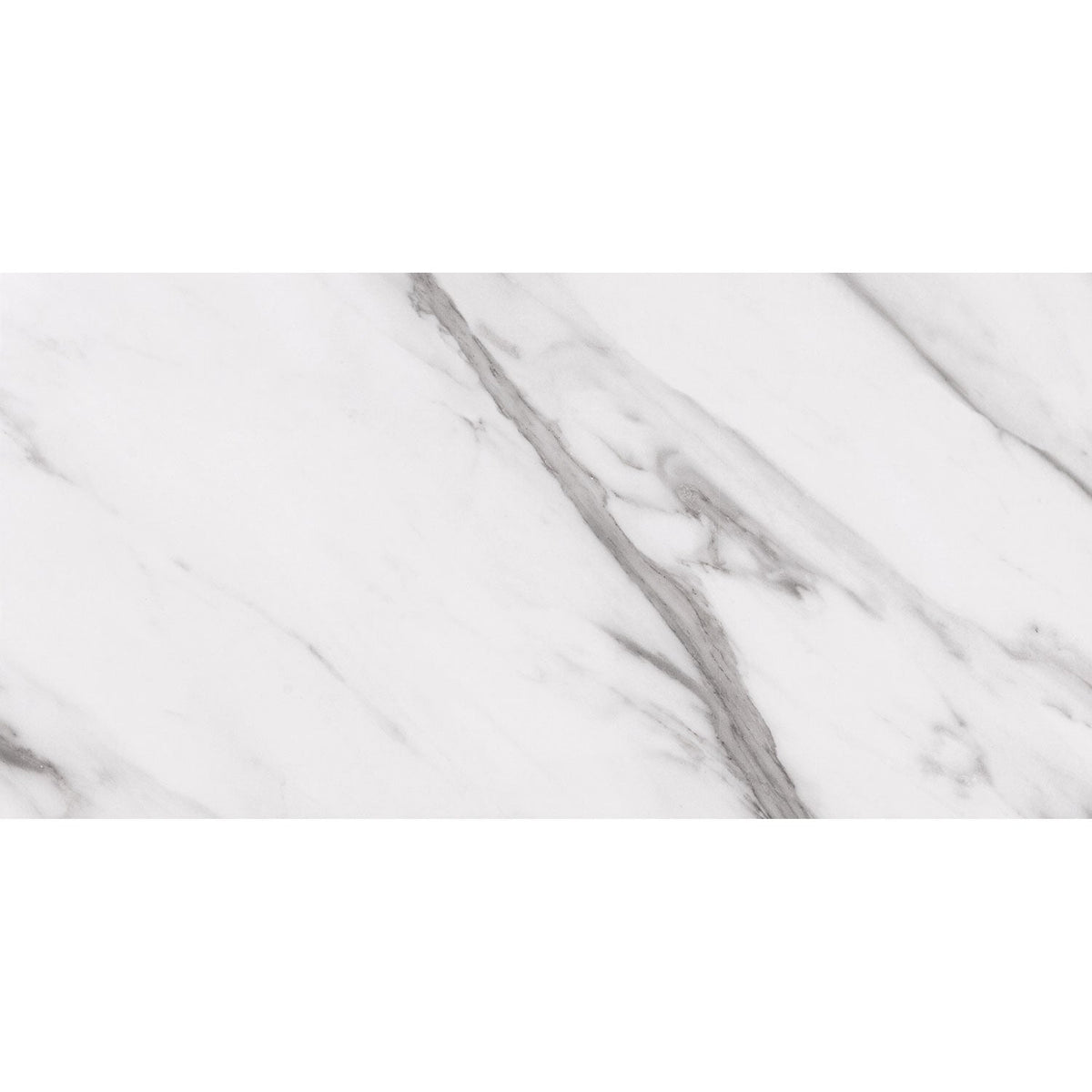 Tesoro - Nova - 12 in. x 24 in. Porcelain Tile - Bianco Carrara Polished 3