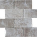 Tesoro Revere - Natural  3 in. x 6 in. Convex Mosaic