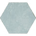 Tesoro - Spring Time Hex Porcelain Tile - Blue