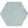 See Tesoro - Spring Time Hex Porcelain Tile - Blue
