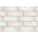 Topcu - Amazonia - 2.5 in. x 8 in. Ceramic Wall Tile - Chalk