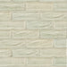 Topcu - Arles Decorative Wall Tile 4 in. x 12 in. - Cream Decor Mix