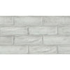 See Topcu - Arles Decorative Wall Tile 4 in. x 12 in. - Silver