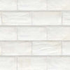 See Topcu - Vita Decorative Wall Tile 4 in. x 8 in. - Bianco