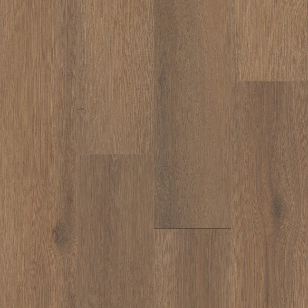TRUCOR by Dixie Home - Tymbr Select Collection - 7.8