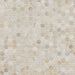 MSI - Athena Gold Penny Round Honed Mosaic