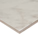 MSI - Kaya 24 in. x 48 in. Porcelain Tile - Carrara Bianco Polished