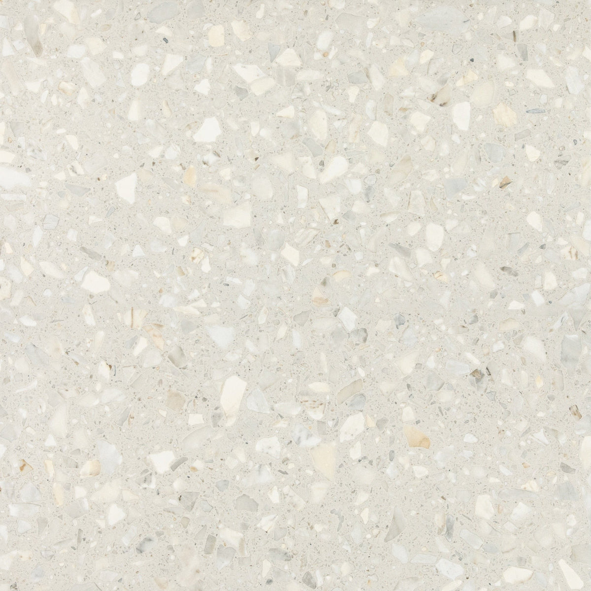 Daltile - Outlander 24 in. x 24 in. Porcelain Tile - Medio Moonlight