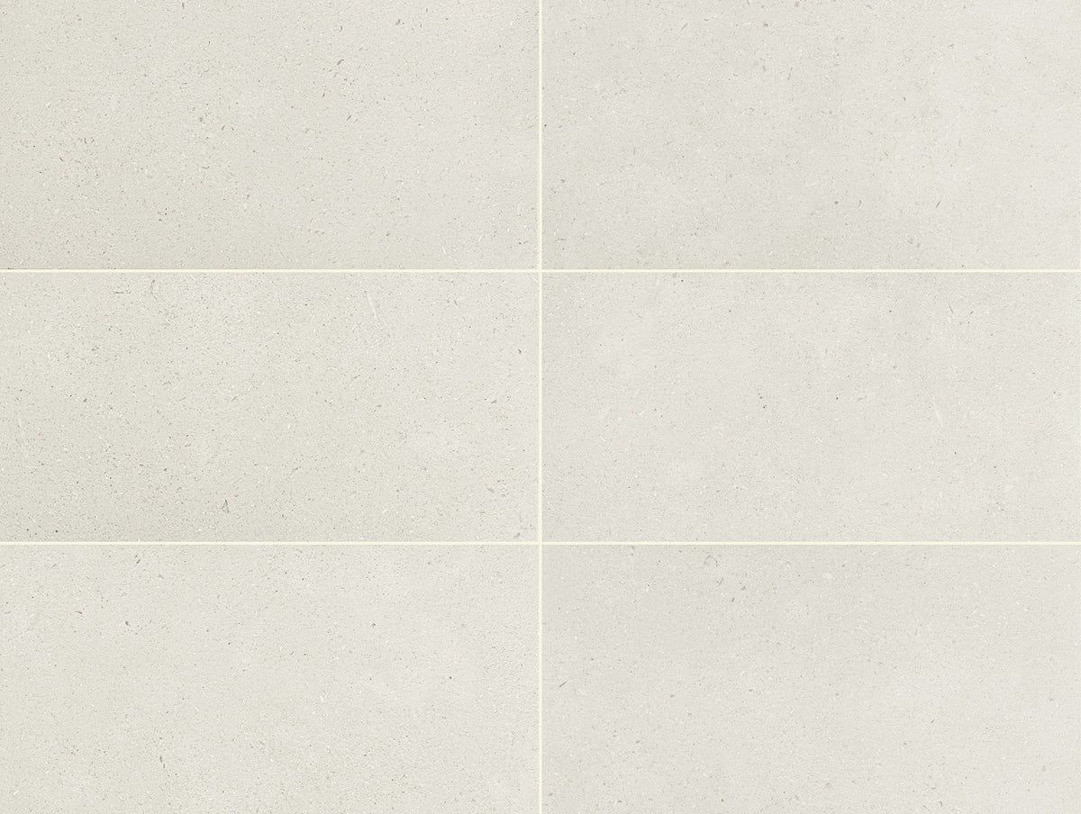 Daltile - Outlander 24 in. x 48 in. Porcelain Tile - Palazzo Moonlight