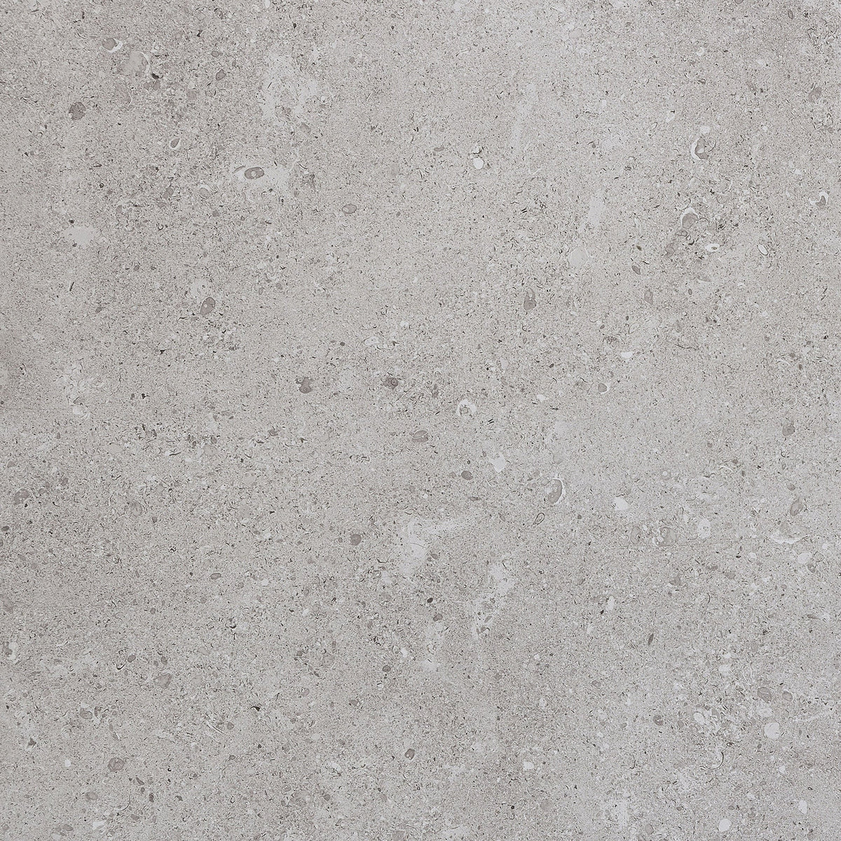 Daltile - Dignitary 24 in. x 24 in. Matte Porcelain Tile - Eminence Grey