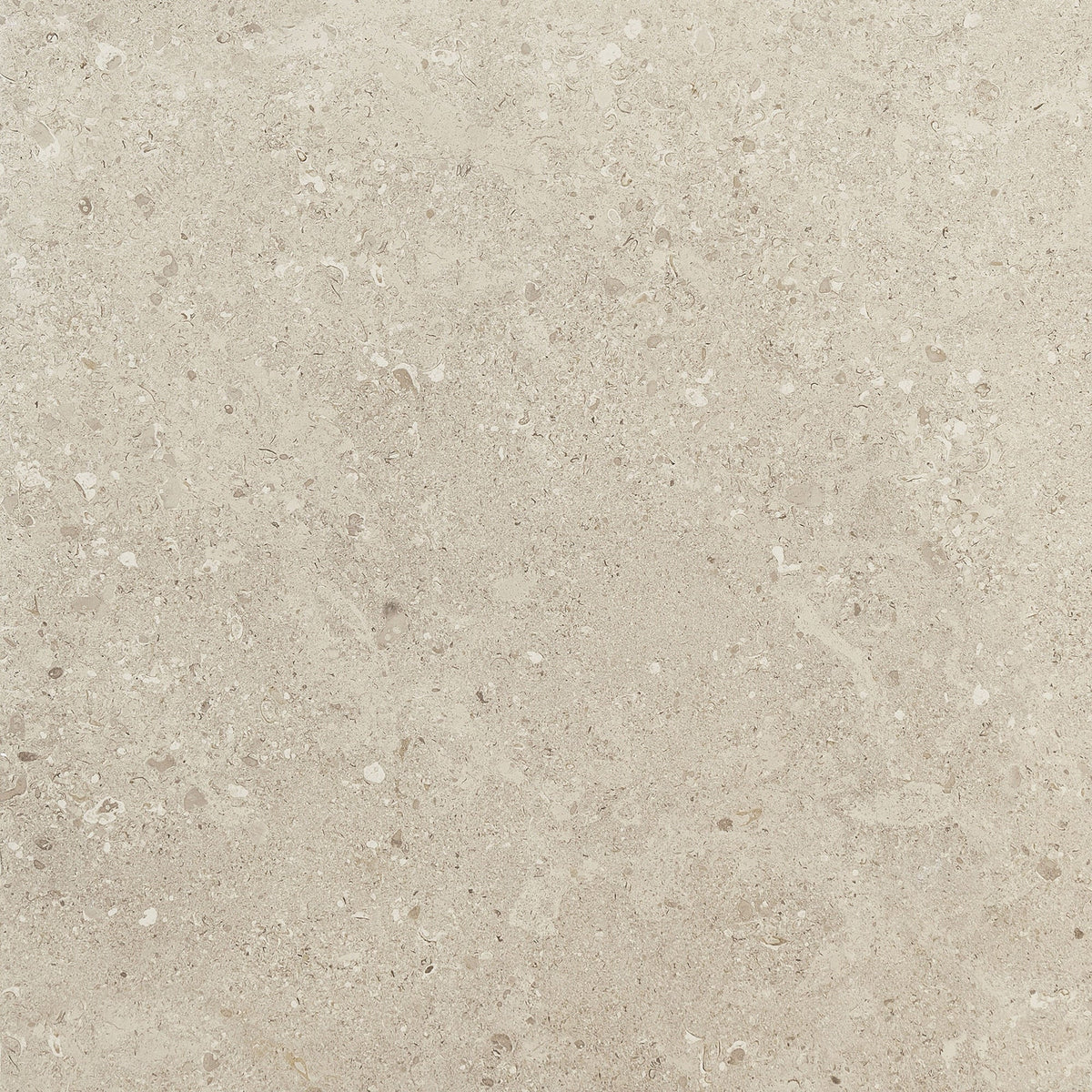 Daltile - Dignitary 24 in. x 24 in. Matte Porcelain Tile - Notable Beige