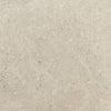 See Daltile - Dignitary 24 in. x 24 in. Matte Porcelain Tile - Notable Beige