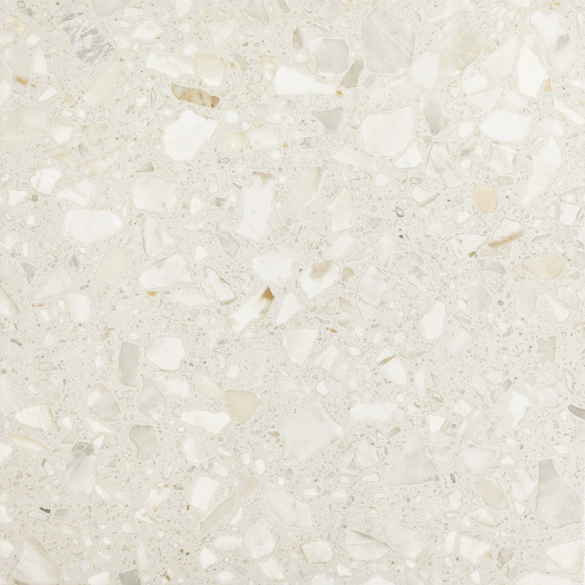 Daltile - Outlander 24 in. x 24 in. Porcelain Tile - Grande Moonlight