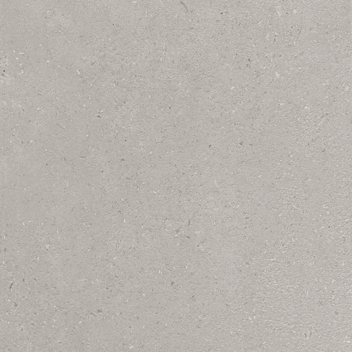 Daltile - Outlander 24 in. x 24 in. Porcelain Tile - Palazzo Dusk