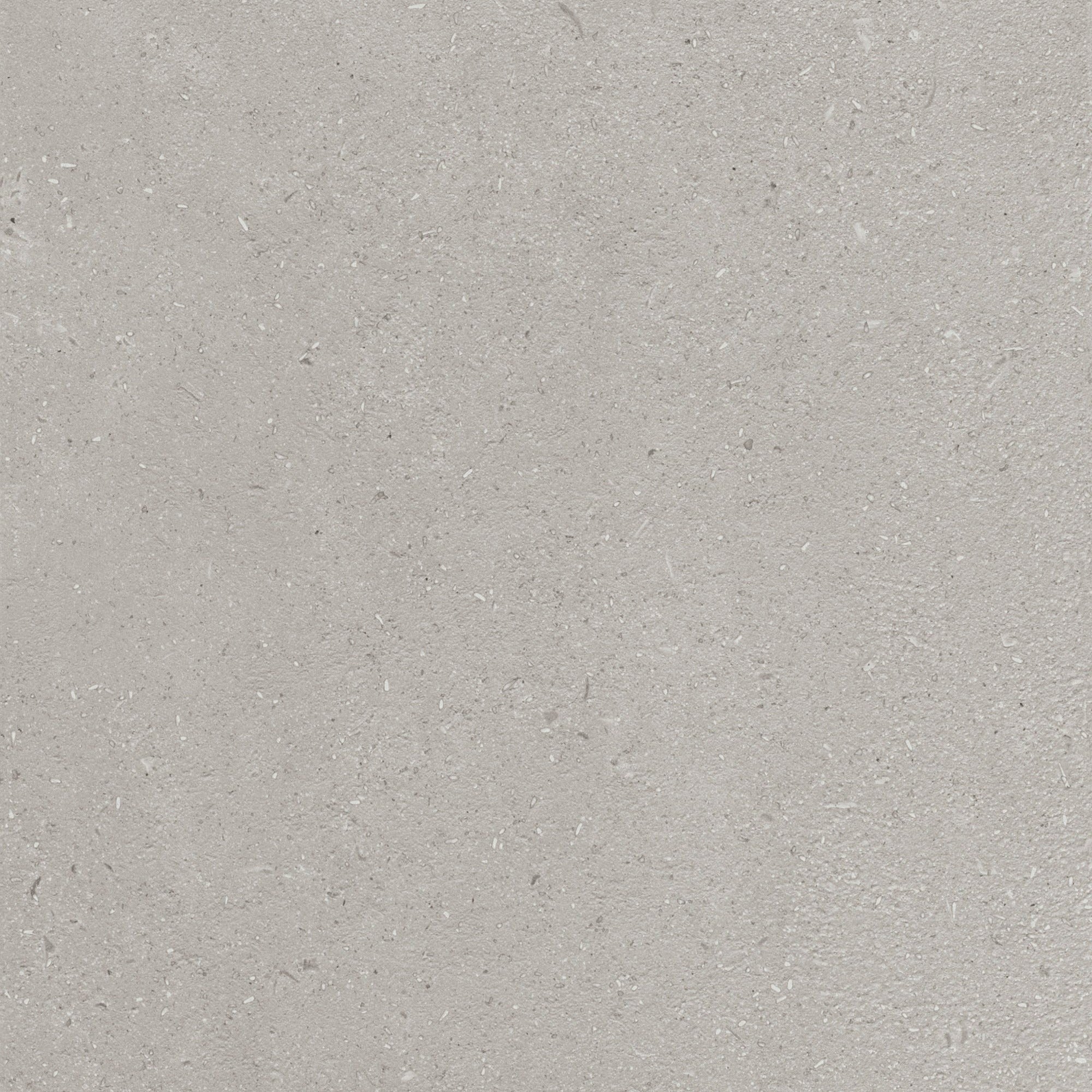 Daltile - Outlander 24 in. x 24 in. Porcelain Tile - Palazzo Dusk