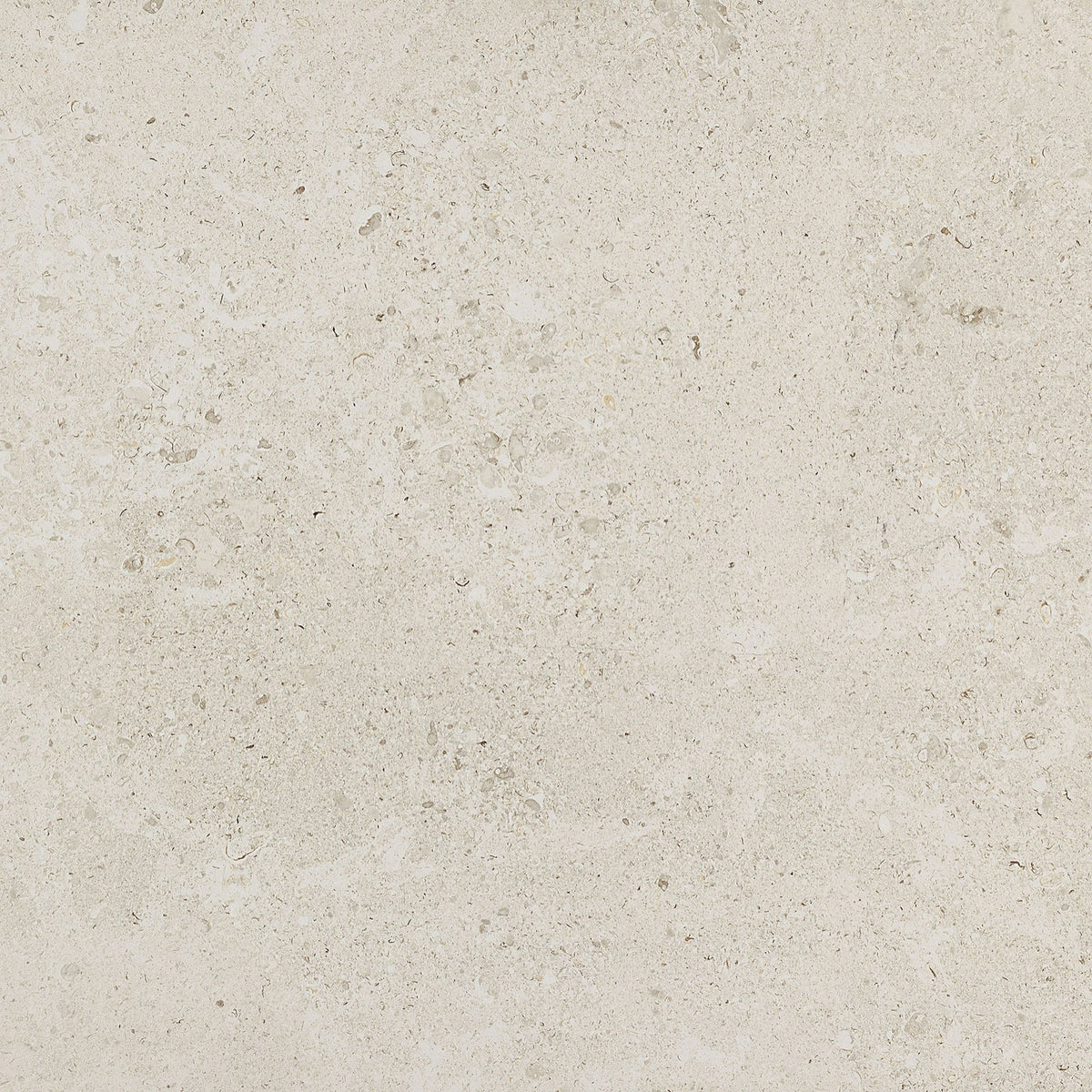 Daltile - Dignitary 24 in. x 24 in. Matte Porcelain Tile - Luminary White