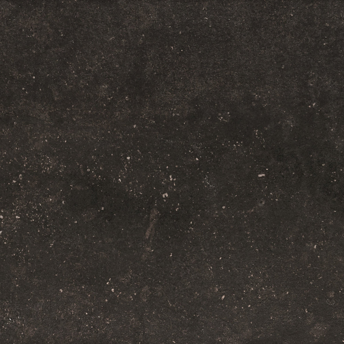 Daltile - Diplomacy 24 in. x 24 in. Porcelain Floor Tile - Dark Grey