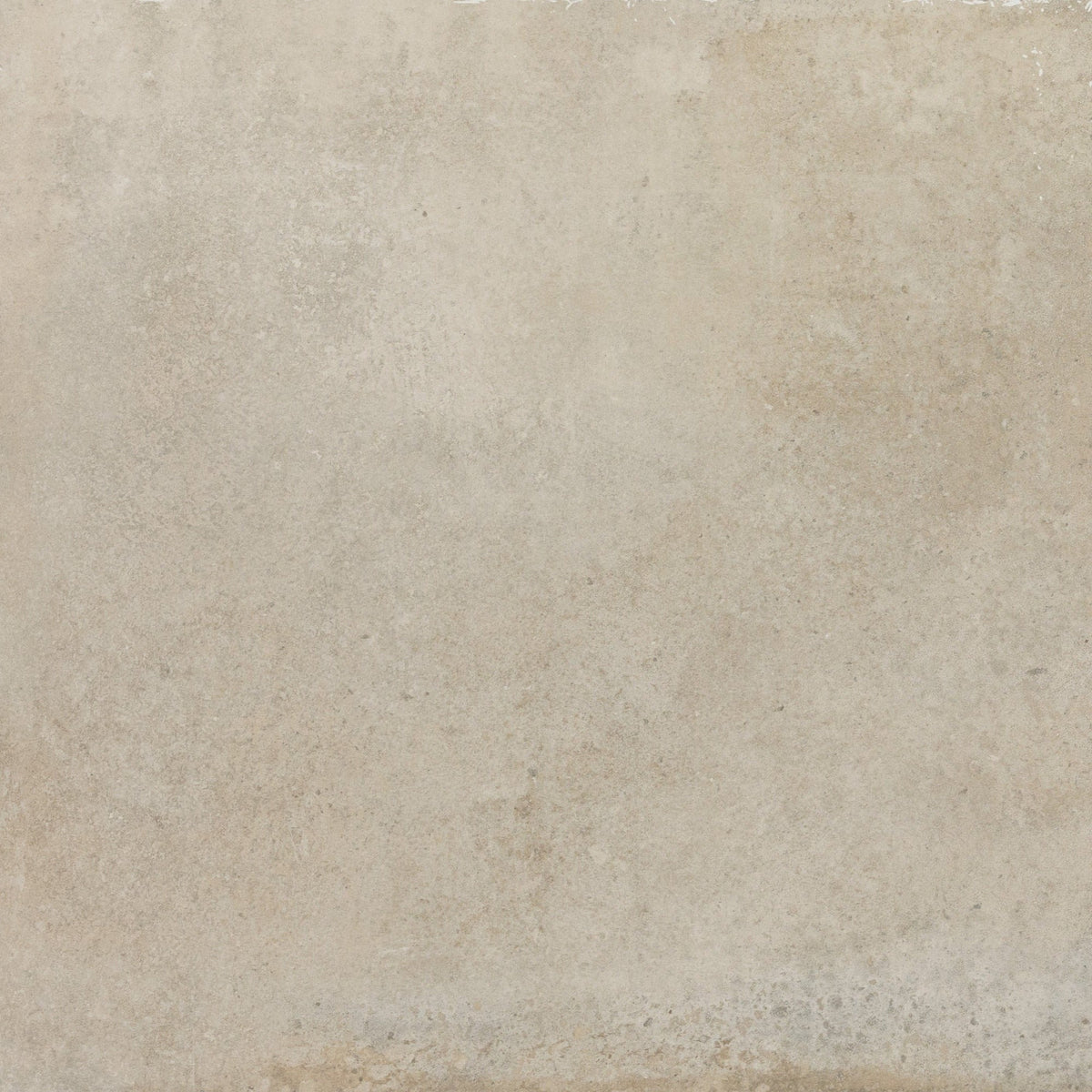 Daltile - Rekindle 24 in. x 24 in. Colorbody Porcelain Tile - Beige