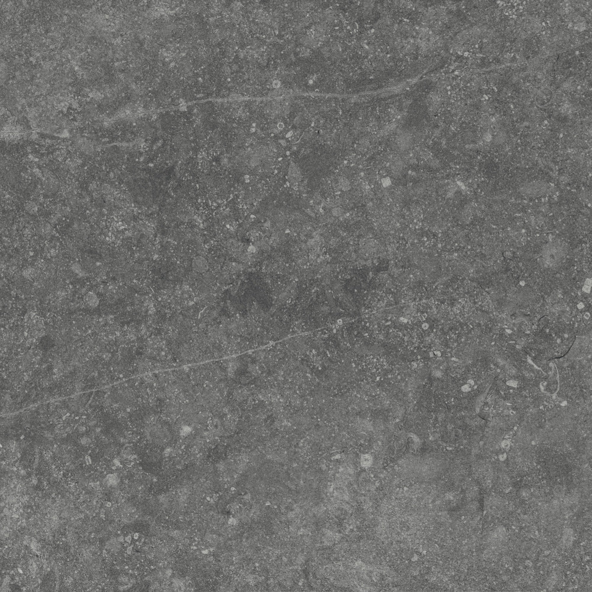 Daltile - Diplomacy 24 in. x 24 in. Porcelain Floor Tile - Medium Grey