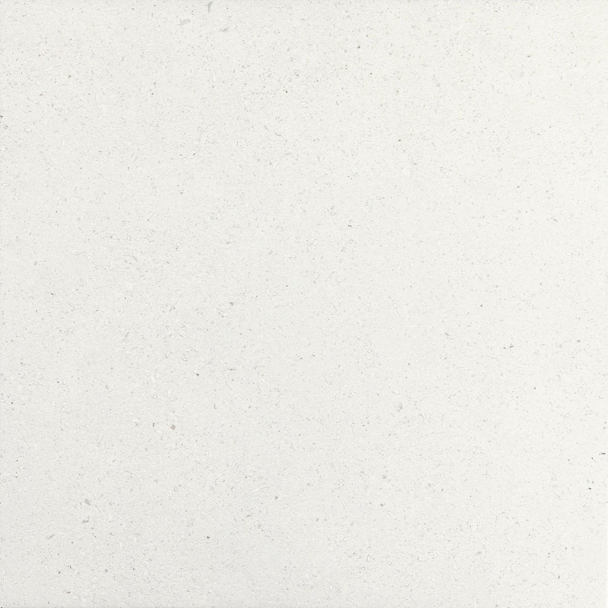 Daltile - Outlander 24 in. x 24 in. Porcelain Tile - Palazzo Marine