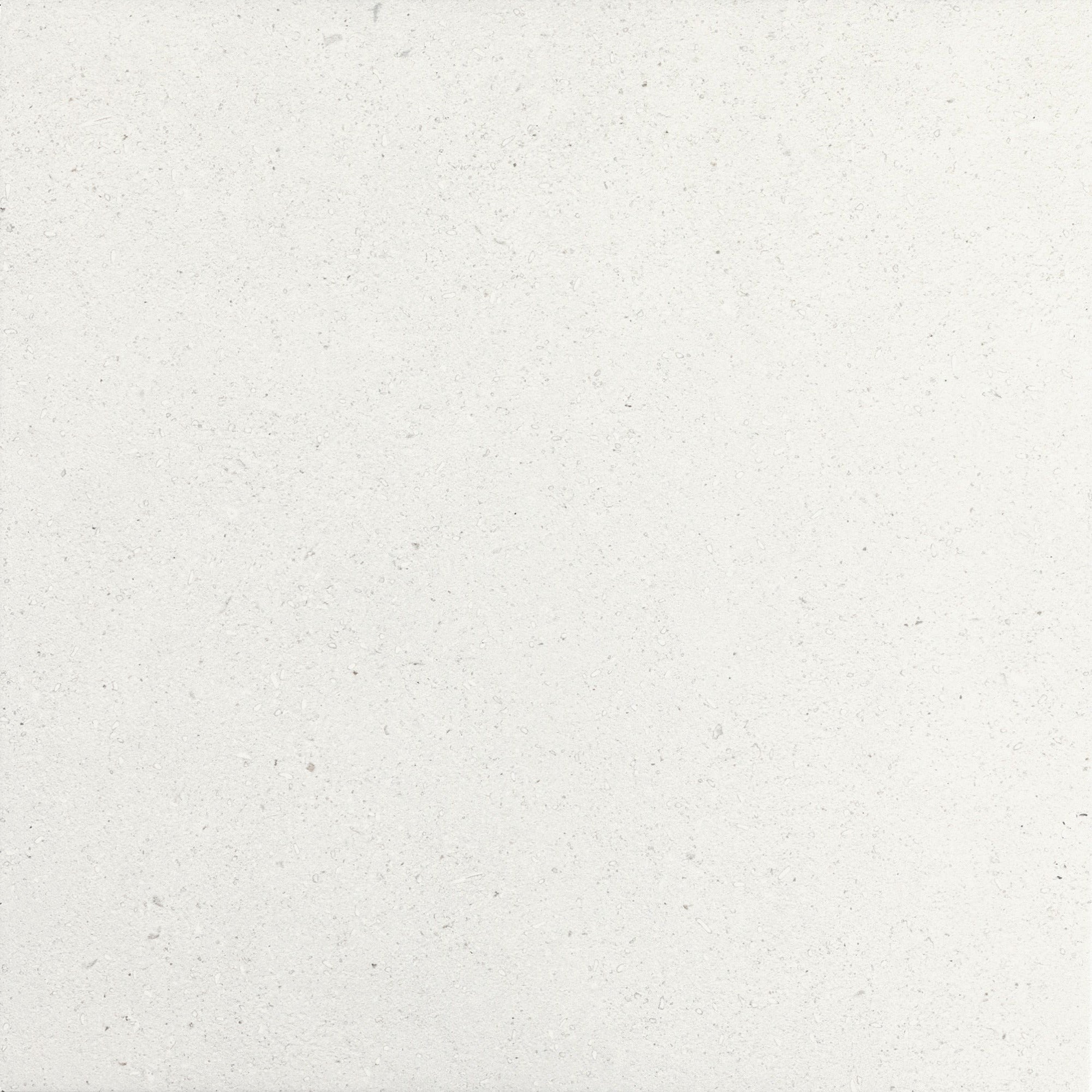 Daltile - Outlander 24 in. x 24 in. Porcelain Tile - Palazzo Marine