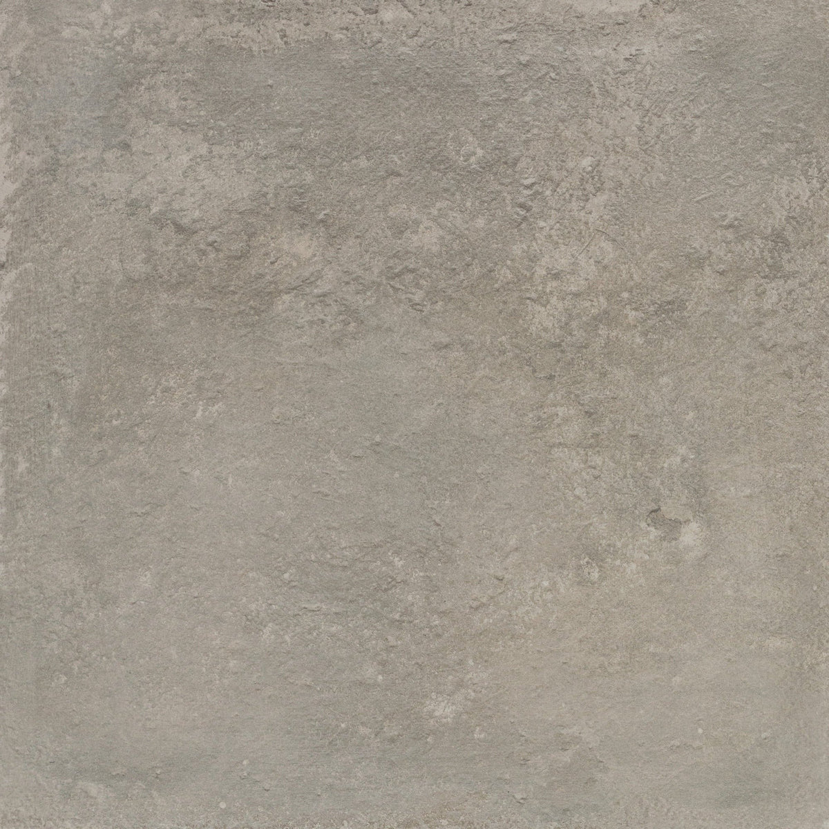 Daltile - Rekindle 24 in. x 24 in. Colorbody Porcelain Tile - Medium Grey