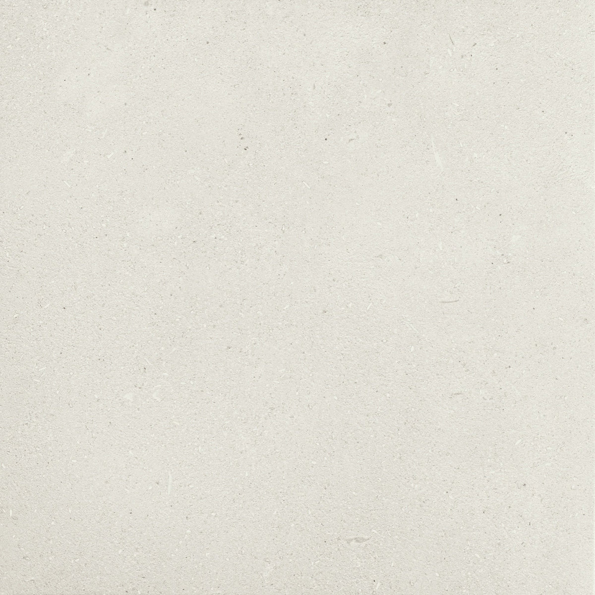 Daltile - Outlander 24 in. x 24 in. Porcelain Tile - Palazzo Moonlight