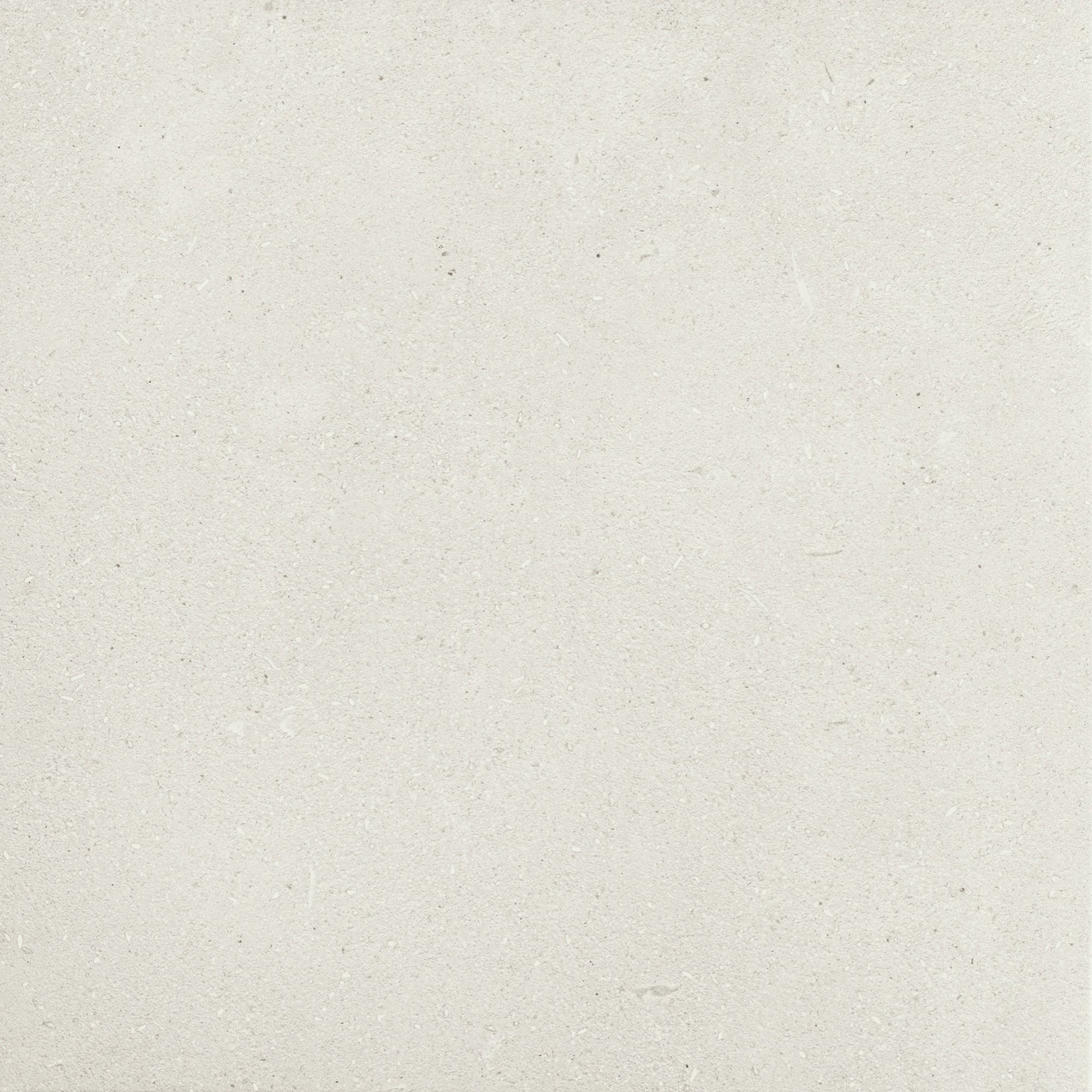 Daltile - Outlander 24 in. x 24 in. Porcelain Tile - Palazzo Moonlight