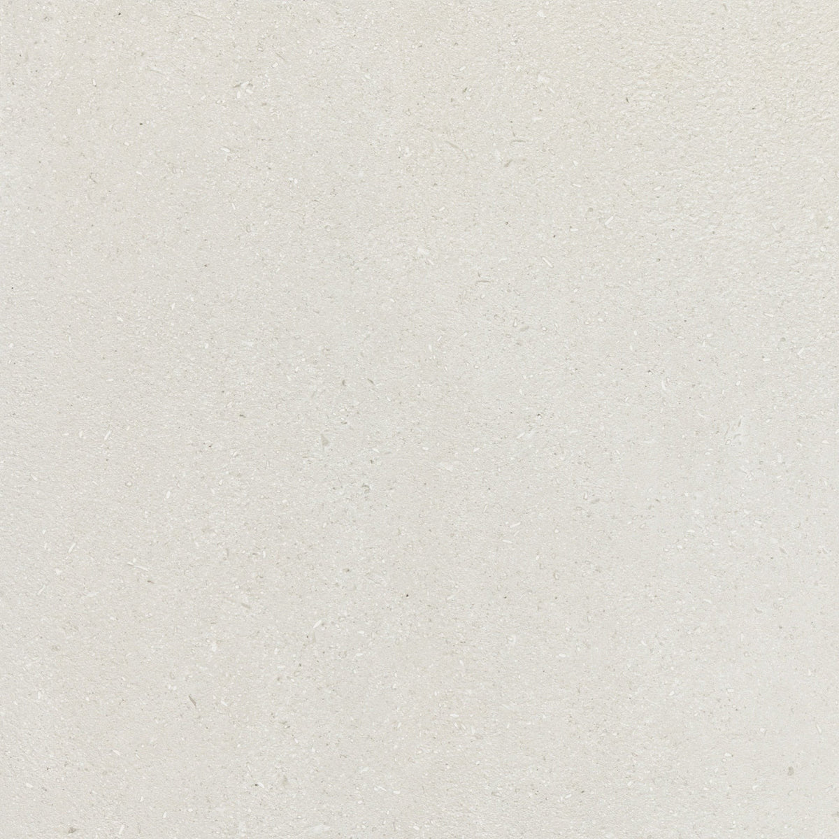 Daltile - Outlander 24 in. x 24 in. Porcelain Tile - Palazzo Sterling