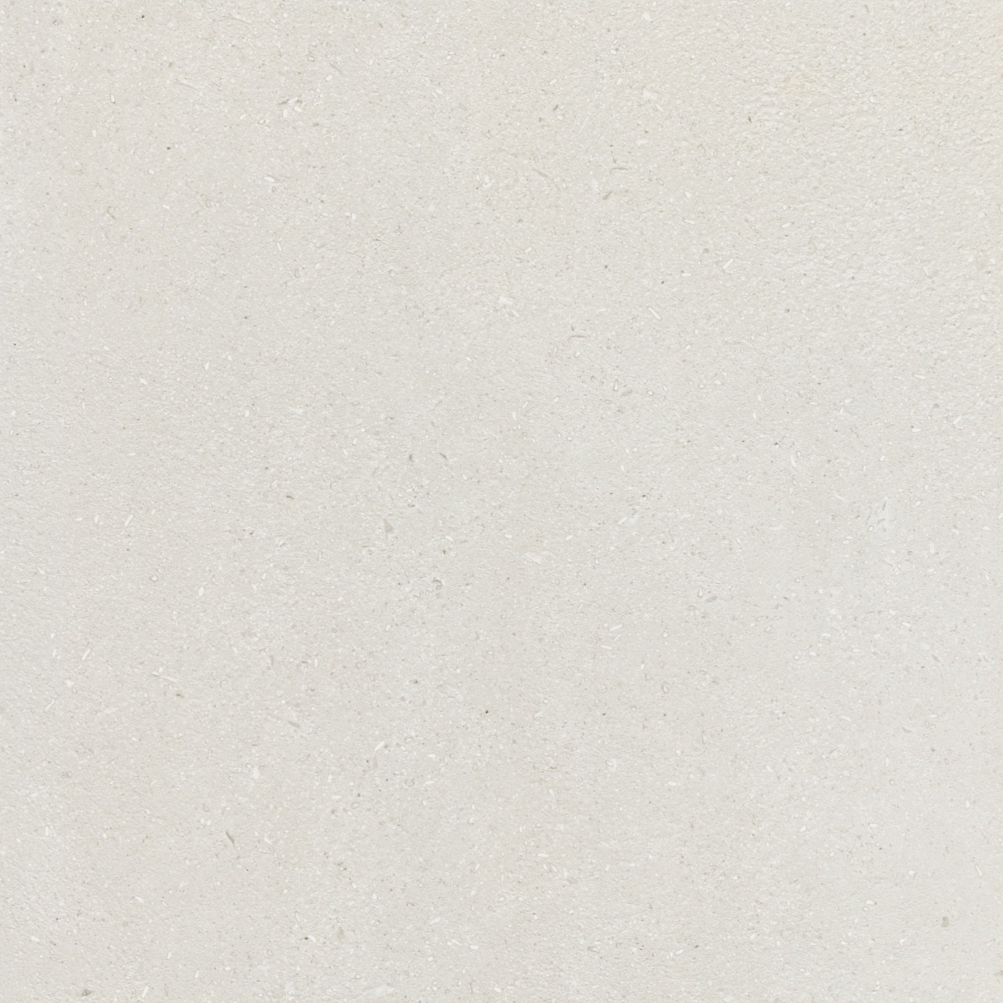 Daltile - Outlander 24 in. x 24 in. Porcelain Tile - Palazzo Sterling